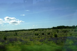 DSC00430.JPG