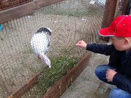 IMG_2689.jpg