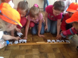 IMG_2486.jpg