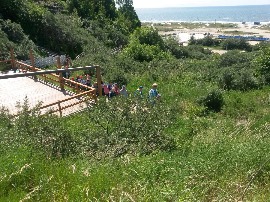20160609_134904.jpg