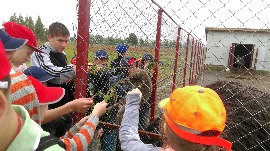 IMAG1465.jpg