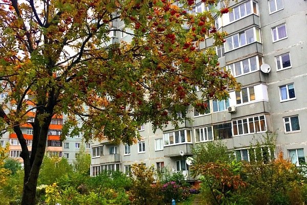 Марафон опавших листьев