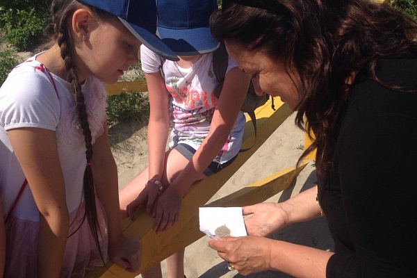 Куршская коса - мир Детства