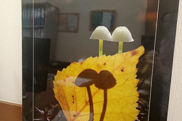 Гости из Музея Мирового океана