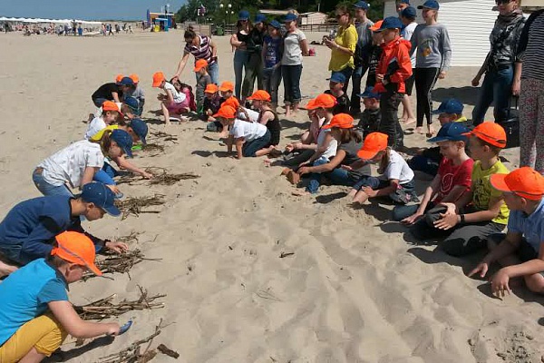 «Янтарный день»