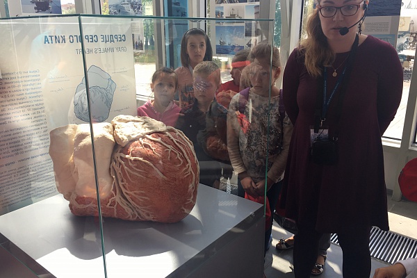 Мы погрузились в «Морскую глубину»!