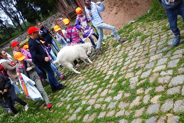 Fort XI «Dönhoff»