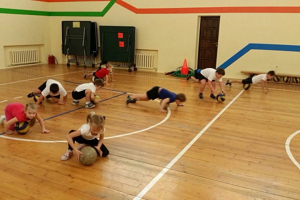 Открытые занятия в физкультурно-спортивном направлении.