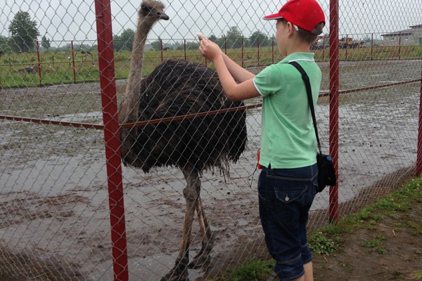 Свято-Елисаветинский женский монастырь