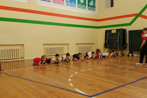 Открытые занятия в физкультурно-спортивном направлении.