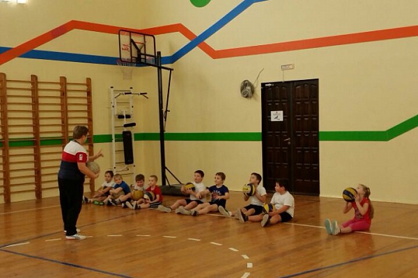 Открытые занятия в физкультурно-спортивном направлении.