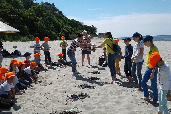 «Янтарный день»