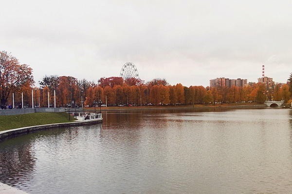 Марафон опавших листьев