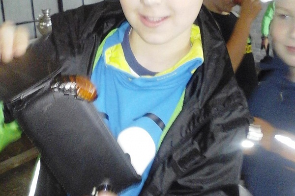 Fort XI «Dönhoff»