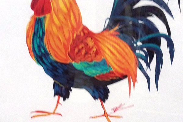 Талисман года 2017