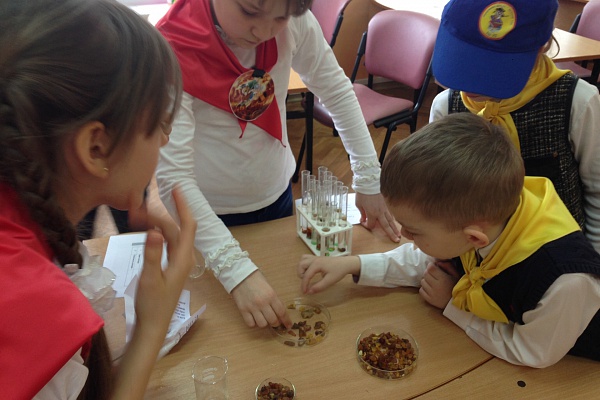 Мы познаем «Загадки Янтаря»