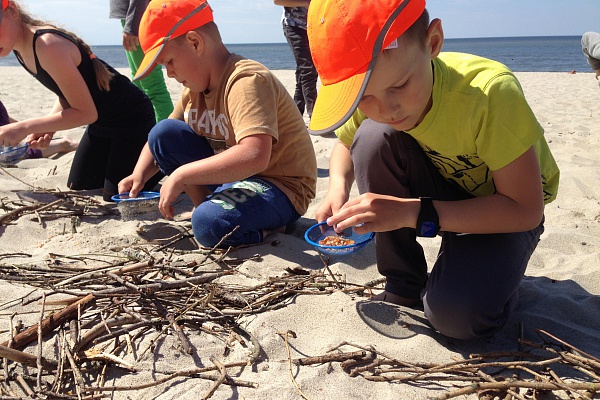 «Янтарный день»